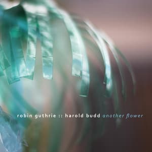 Another Flower - Robin Guthrie