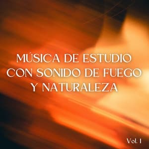 Música De Estudio Con Sonido De Fuego Y Naturaleza Vol. 1 - Sonidos cálidos y fríos de fuego