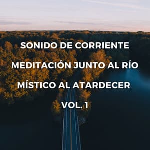 Sonido De Corriente: Meditación Junto Al Río Místico Al Atardecer Vol. 1 - 101 Naturaleza