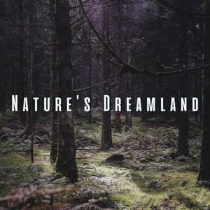 Nature's Dreamland: Binaural Sounds for Baby's Peaceful Bedtime - La Nature