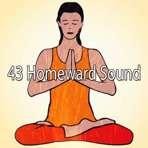 43 Homeward Sound - Music for Reading