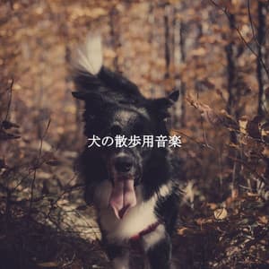 犬の散歩用音楽 - Good Mood Jazz