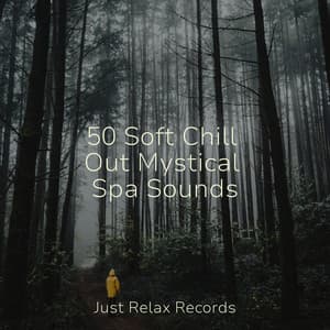 50 Soft Chill Out Mystical Spa Sounds - Sleep Music Lullabies