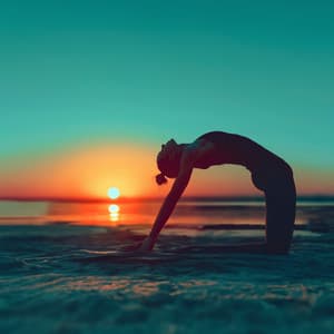 Yogi Flow - Yogi Zone