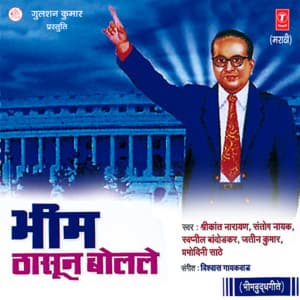 Bheem Thasun Bolale - Shrikant Narayan