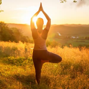 Vibras De Yoga Lofi: Sonidos Suaves Para El Equilibrio - Universo