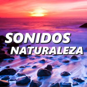 Sonidos Naturaleza - Naturaleza