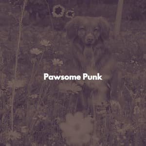 Pawsome Punk - Musica per Studiare