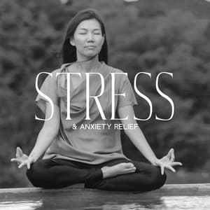 Stress & Anxiety Relief: Relaxing Healing Music | Calming Breath, Positive Vibes, Stop Depression - Dreamy Summer Nights