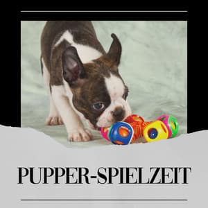 Pupper-Spielzeit - Hundemusik