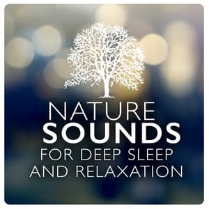 Nature Sounds for Deep Sleep and Relaxation - Sounds of Nature for Deep Sleep and Relaxation