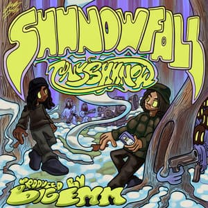 Shhnowfall - Tony Shhnow