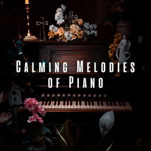 Calming Melodies of Piano - Relaxing Piano Music Consort