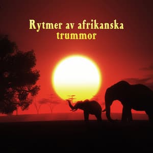 Rytmer av afrikanska trummor - Tribal musik, Andlig resa, Inre fred, Djup meditation, Total avkoppling - Andlig Musiksamling