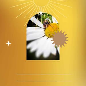 Echoes of Fresh Spring - Dinner Table Jazz Dream