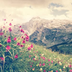 Zen Sleep - Música De Relajación Para Dormir Profundamente