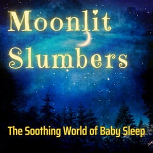 Moonlit Slumbers: The Soothing World of Baby Sleep - Music for Baby Slumber