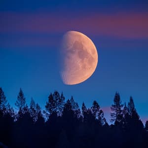 La Calma De La Medianoche: Suaves Melodías Para Dormir - Latidos de soledad