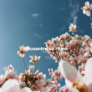 Encuentre su ritmo - Nachmittags Jazz