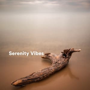 Serenity Vibes - Native Flute Ensemble