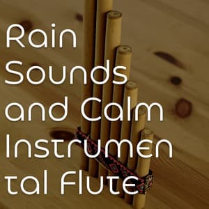Rain Sounds and Calm Instrumental Flute Background Music for Sleeping - Dreem & Sleep
