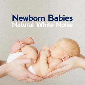 Newborn Babies Natural White Noise - Newborn Babies Natural White Noise