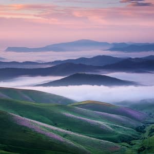 Relajación Reconfortante: Melodías Para La Calma - Música para momentos de tranquilidad