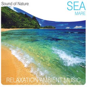 Sea - Sound of Nature Band