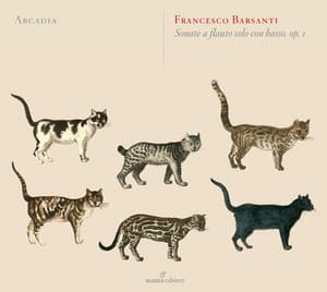 Barsanti: 6 Recorder Sonatas, Op. 1 - Francesco Barsanti