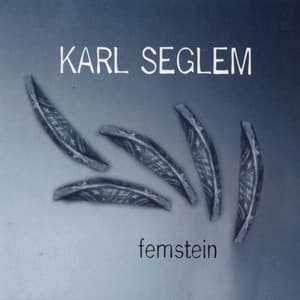Femstein - Karl Seglem