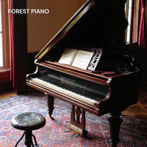Forest Piano - Piano Jazz Calming Music Academy