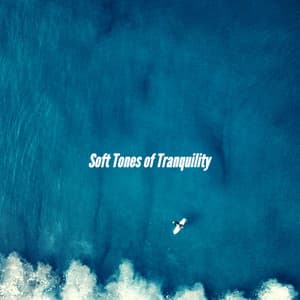 Soft Tones of Tranquility - Classy Cafe Jazz Music