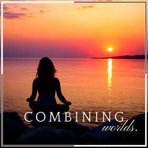 Combining Worlds - Meditation & Focus Workshop