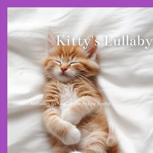 Kitty's Lullaby: Soft Melodies to Soothe the Feline Spirit - Cat & Calm