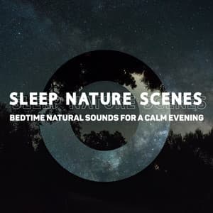 Sleep Nature Scenes: Bedtime Natural Sounds for a Calm Evening, Relaxing & Soothing Night Music - Sleep Cycles Music Collective