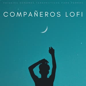 Compañeros Lofi: Paisajes Sonoros Terapéuticos Para Perros - Sonidos pop de baja fidelidad