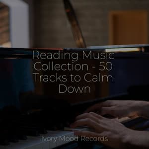 Reading Music Collection - 50 Tracks to Calm Down - Ivory Mood