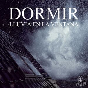 Dormir: Lluvia en la Ventana - Lluvia Del Bosque