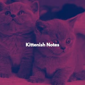 Kittenish Notes - Cat Total Relax
