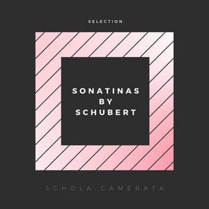 Sonatinas By Schubert - Franz Schubert