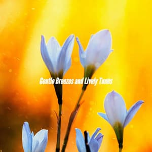 Gentle Breezes and Lively Tunes - Bossa Nova for Driving