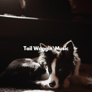 Tail Waggin' Music - Quiet Music for Sleeping