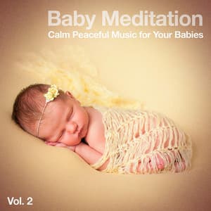 Baby Meditation, Vol. 2 - Lullabye Baby Ensemble