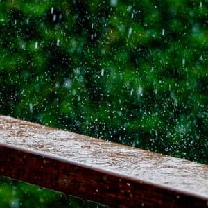 50 Rainy Nights: Drifting Into Tranquility - Meditation Rain Sounds