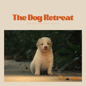 The Dog Retreat - Music For Dogs