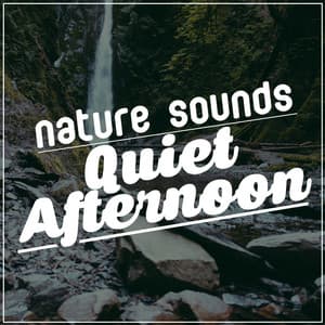 Nature Sounds: Quiet Afternoon - Nature Sounds - Sons de la nature