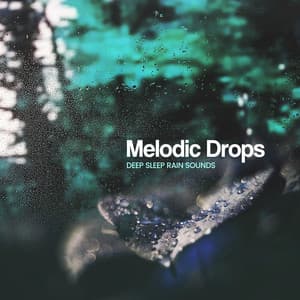 Melodic Drops - Deep Sleep Rain Sounds