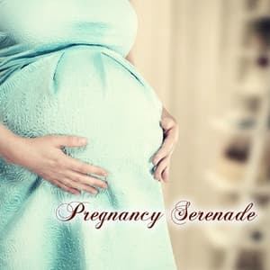 Pregnancy Serenade: The Best Relaxing Piano Music for Future Mother, Pregnant Women and Unborn Baby - Pregnancy Soothing Songs Masters