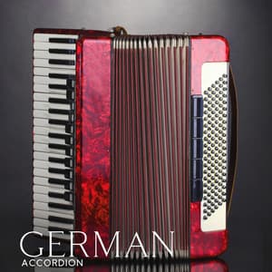 German Accordion: Traditional Folk Music, Country Party, Polka & Waltz - Acoustic Bros
