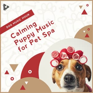 Calming Puppy Music for Pet Spa - Dog Music Hour